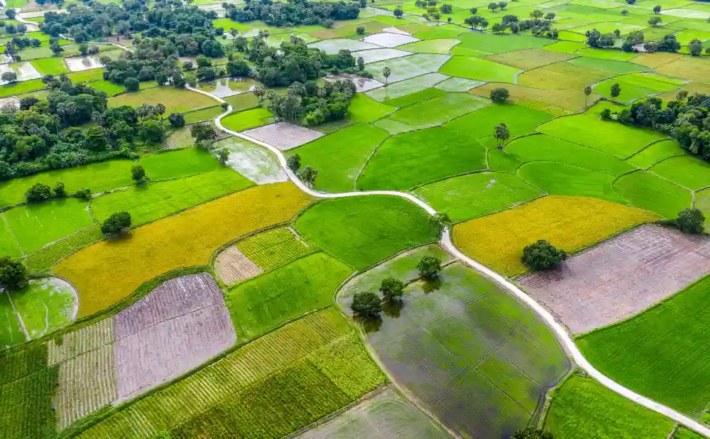 agriculture-land-in-chennai-river-properties